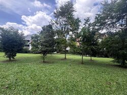 Fernvale Link (D28), Terrace #503999431